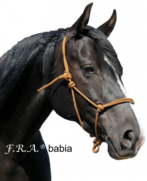 Rope halter F.R.A® Babia - 7