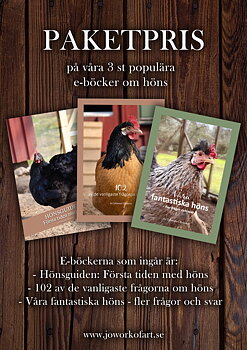 Paketpris 3 st e-böcker om höns & hönshållning (digital produkt)