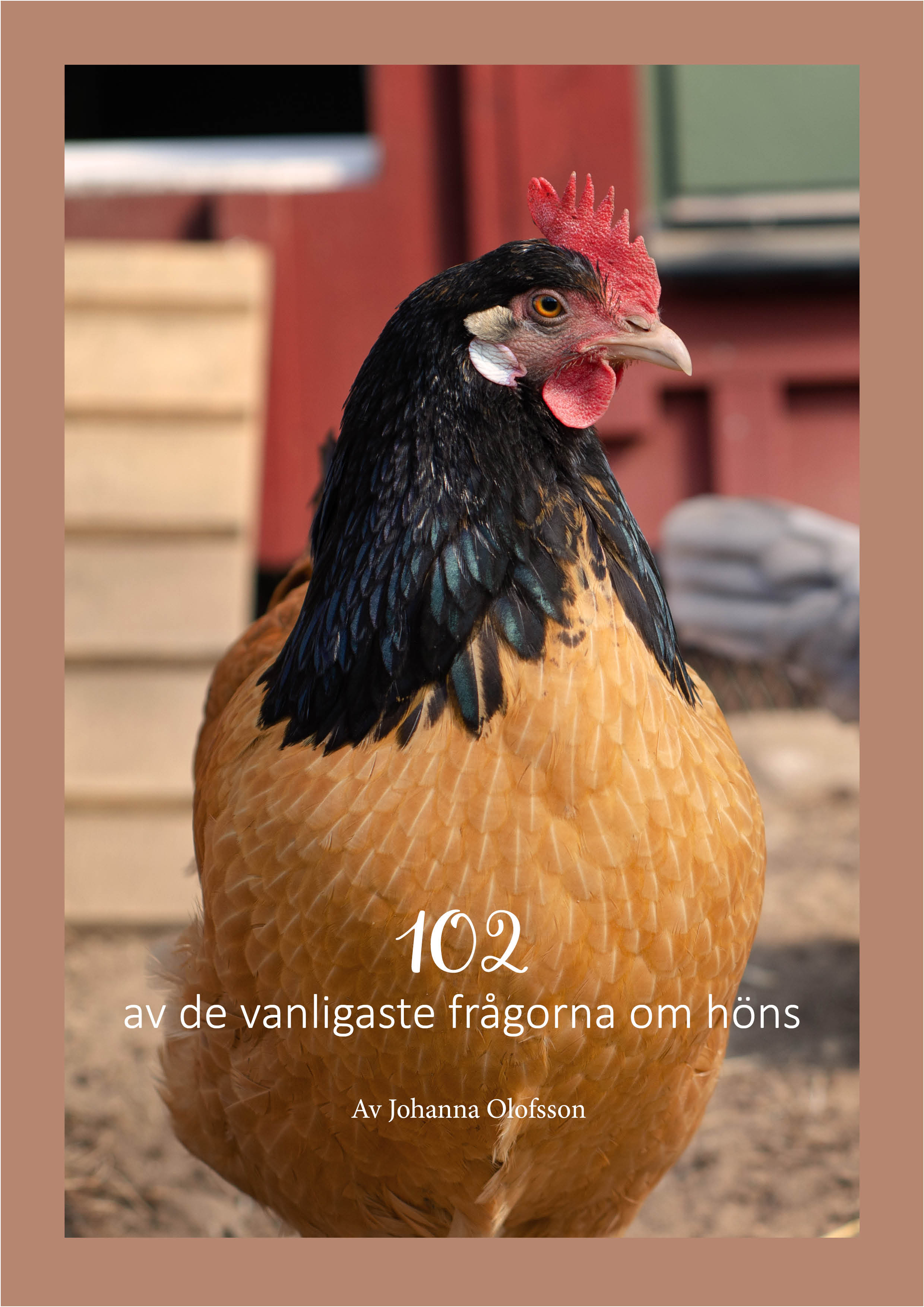 102 av de vanligaste frågorna om höns