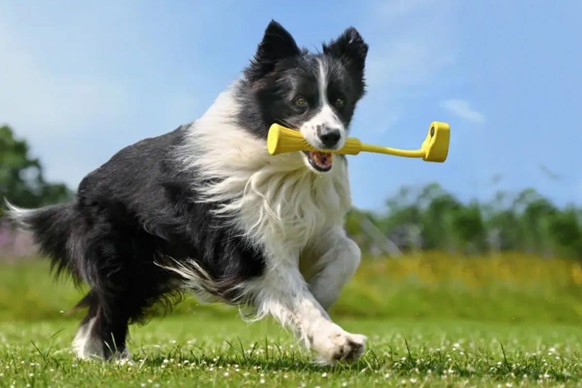 Insta360 GO3 Fetch Stick - 5