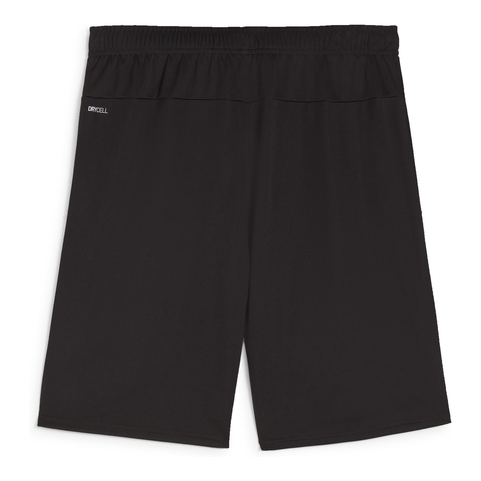 Puma Teamgoal Shorts Jr Träningsshorts (IF Hansa/Hoburg) - 2