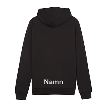 Puma Teamgoal Casuals Hoody Sr (IF Hansa/Hoburg)