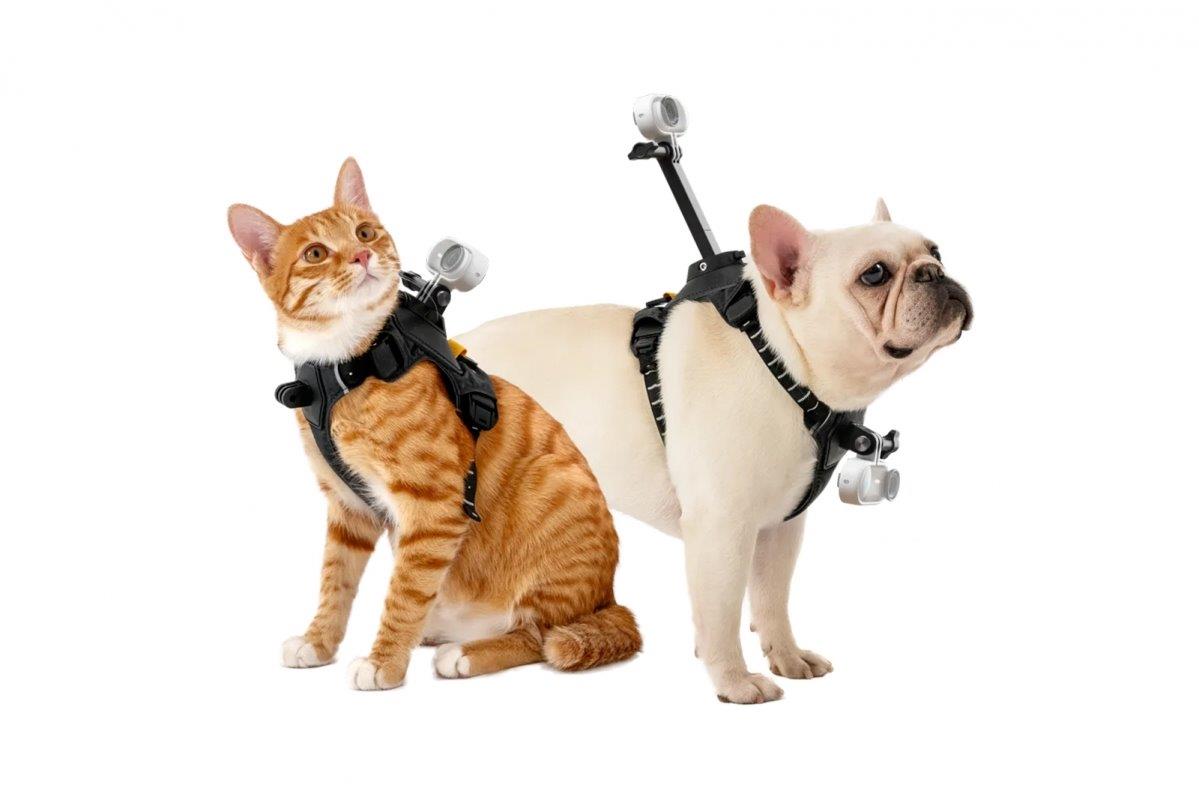 Insta360 Pet Harness Mount Size M - 3