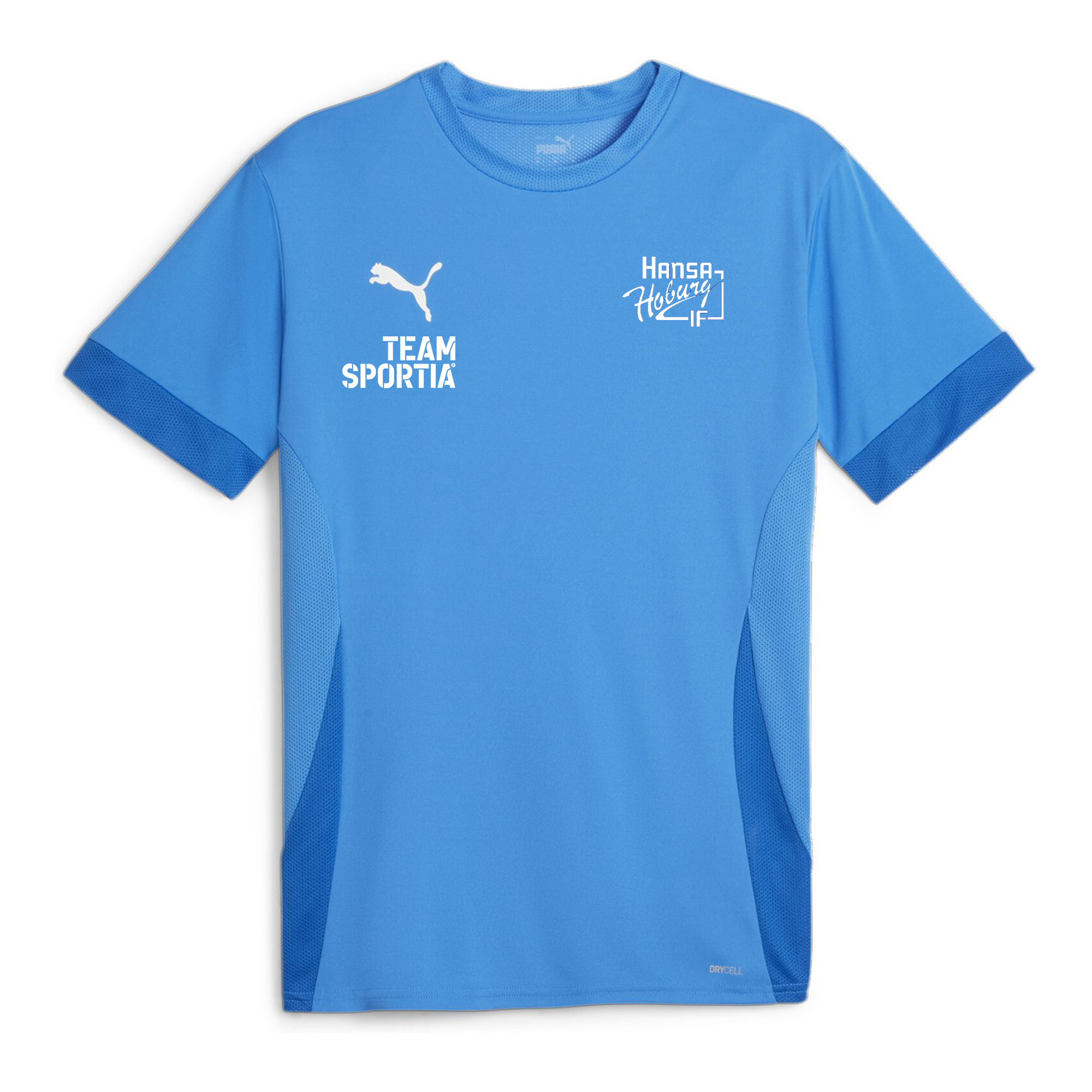 Puma Teamgoal Matchday  Jersey Sr (IF Hansa/Hoburg)