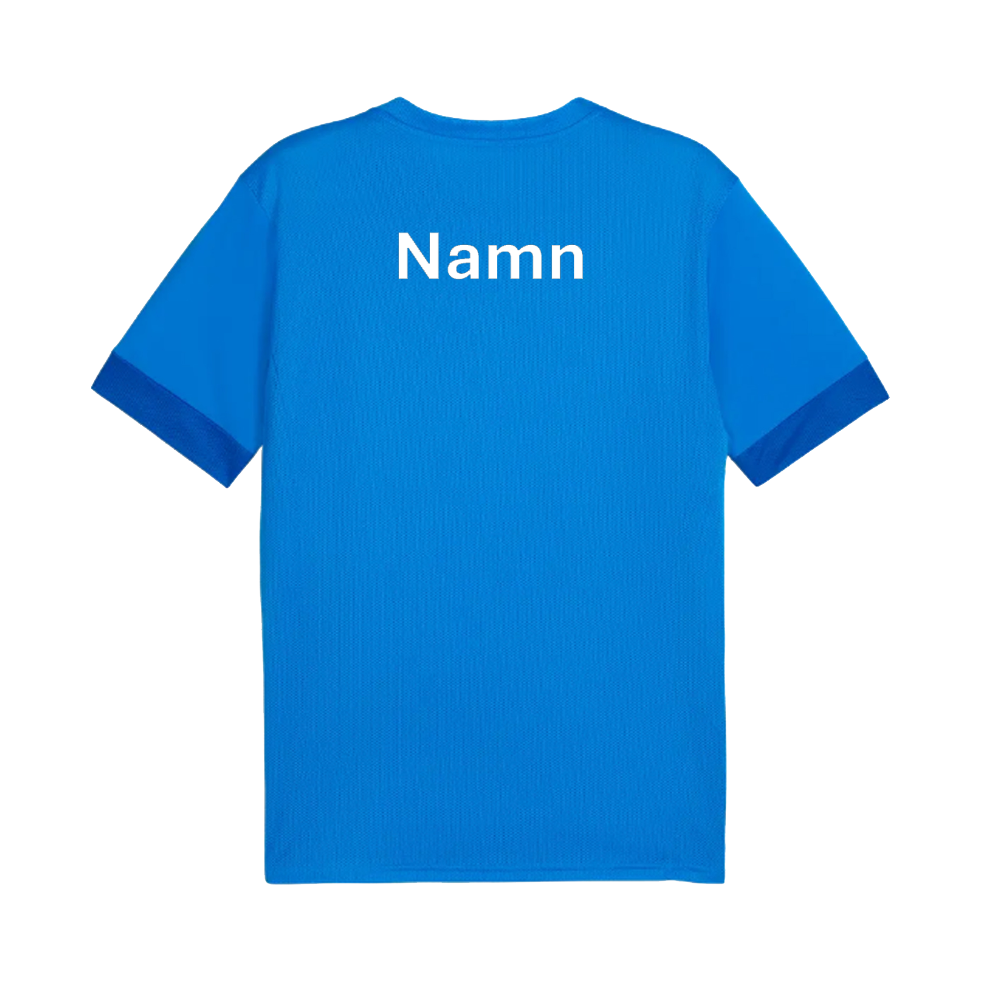 Puma Teamgoal Matchday Jersey Jr (IF Hansa/Hoburg) - 2