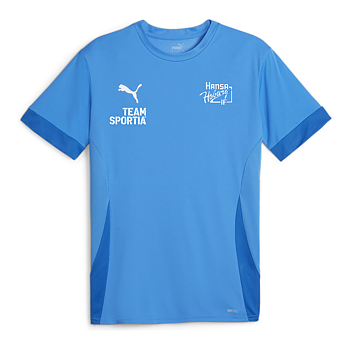 Puma Teamgoal Matchday Jersey Jr (IF Hansa/Hoburg)