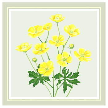 Dubbelkort "Smörblomma"