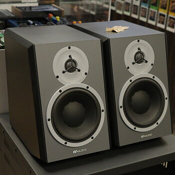 2x Dynaudio DBM50, used