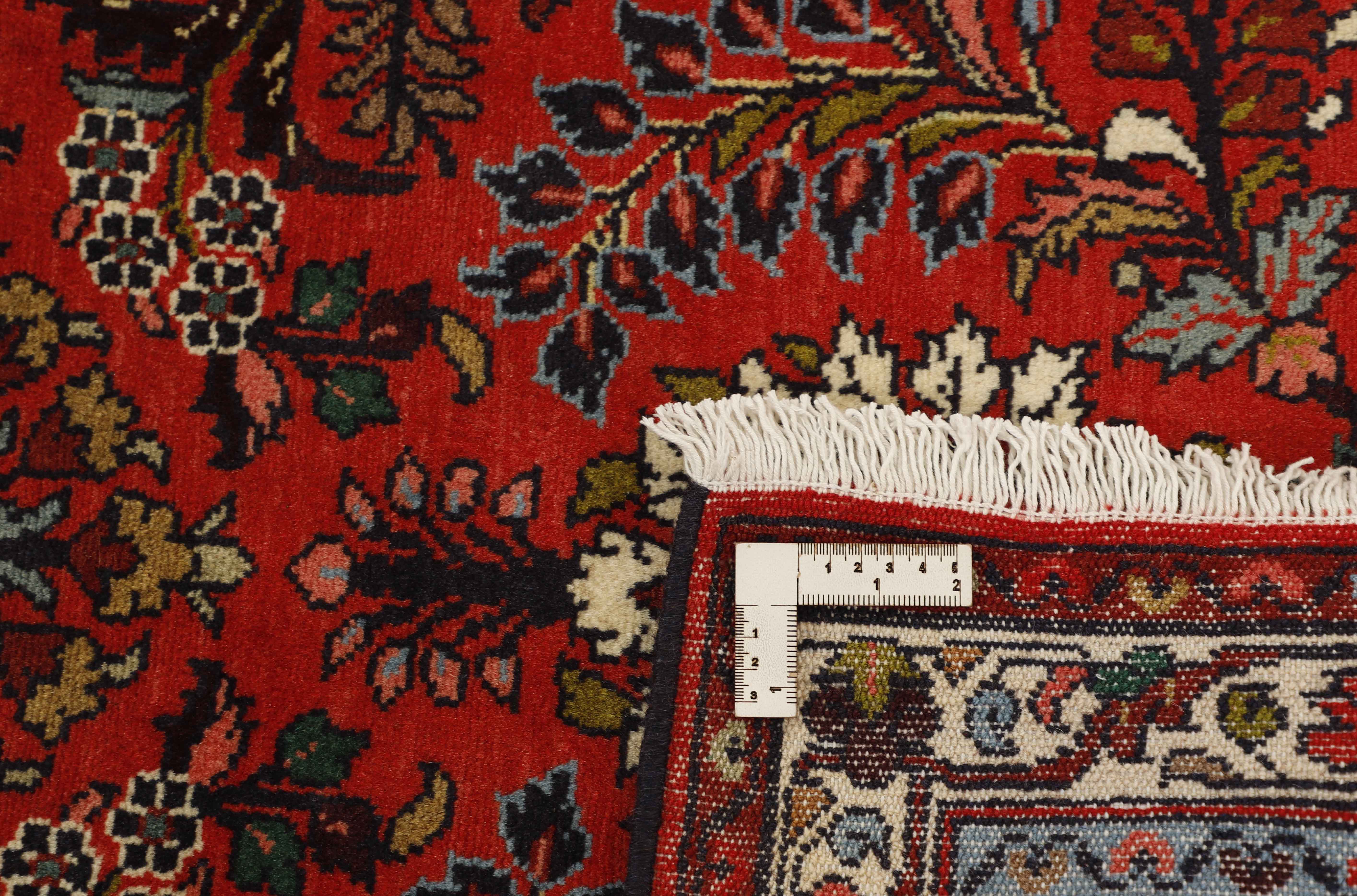 Dardjazin 87x282cm - 5