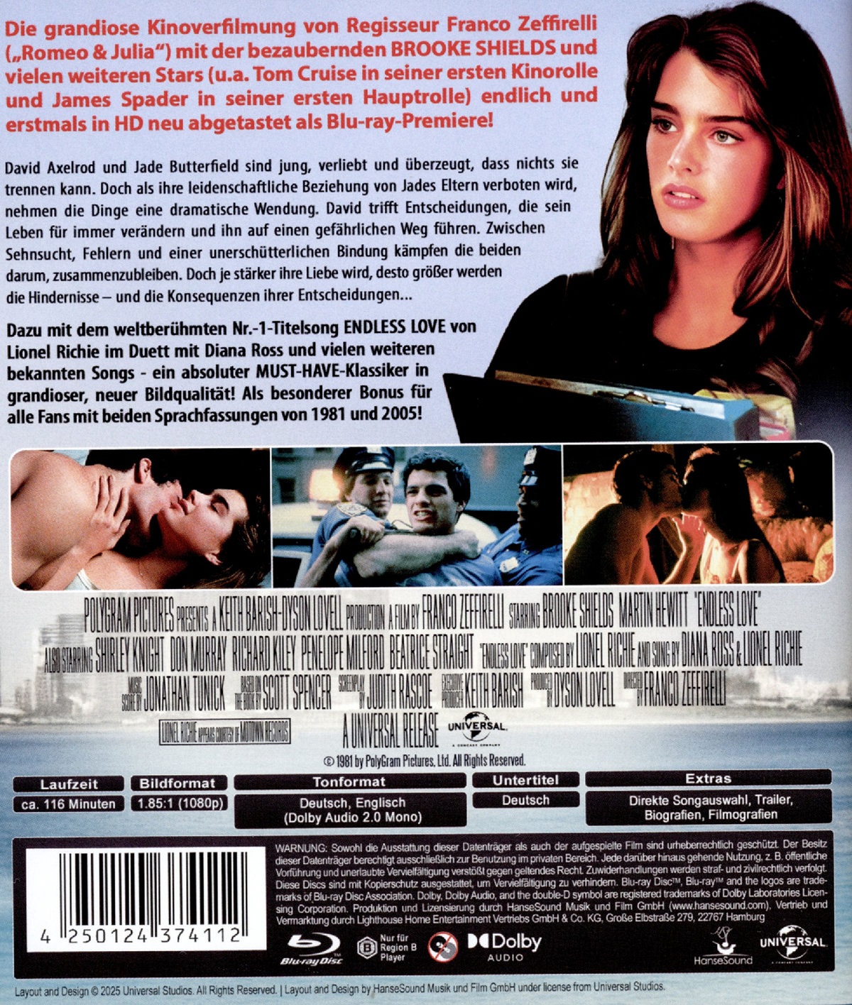Endless Love (ej svensk text) (Blu-ray) - 2