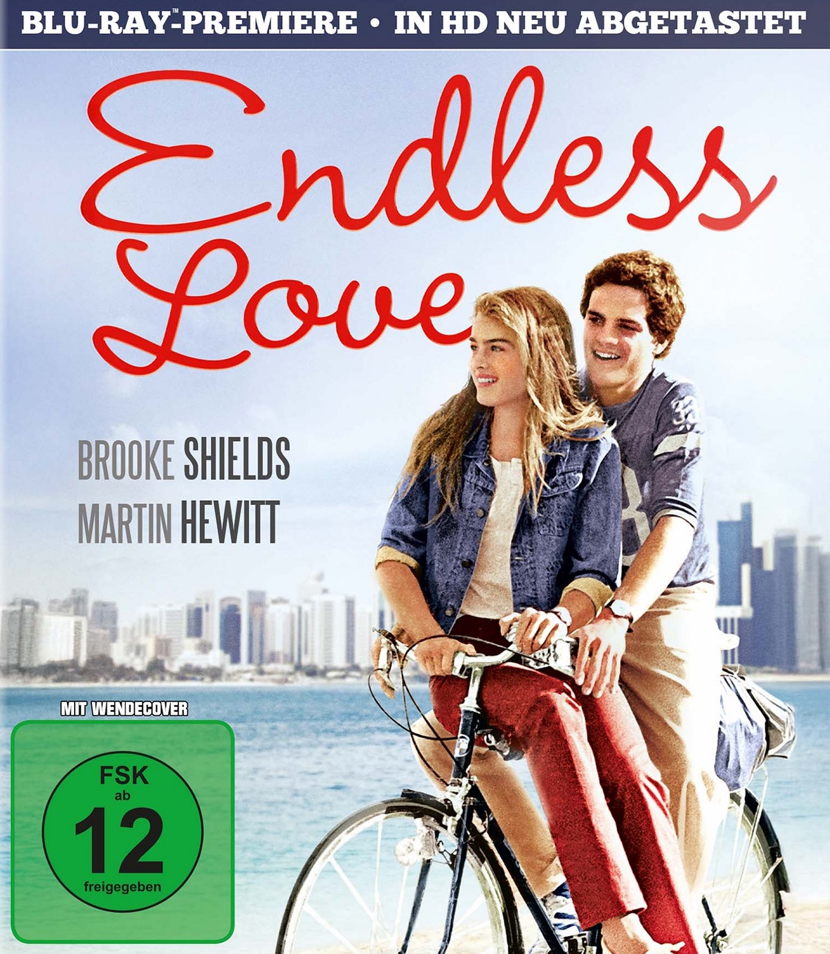 Endless Love (ej svensk text) (Blu-ray)