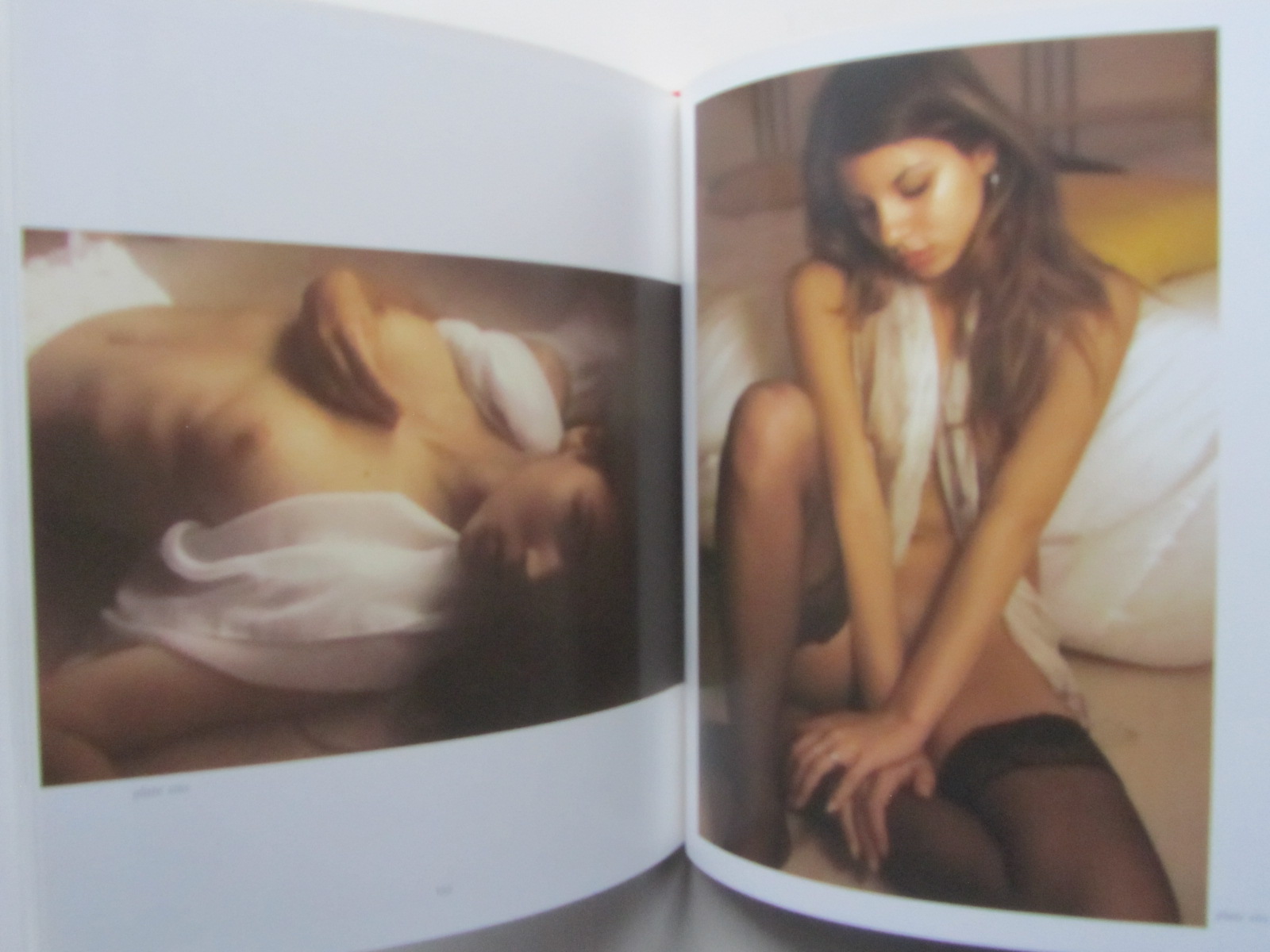 Reanna's Diaries: A Celebration of Truth and Beauty in Photographs HC - 5