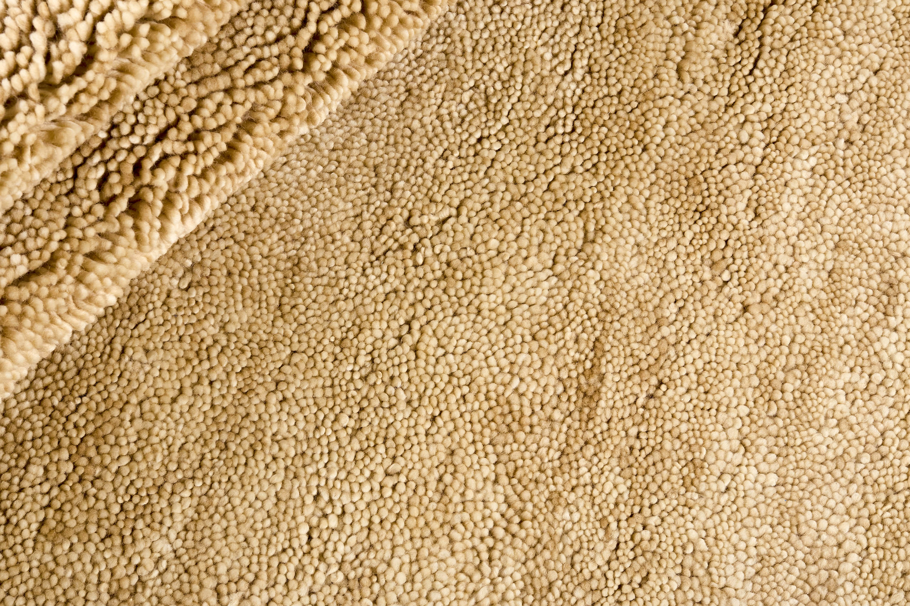 Polar Beige - 2