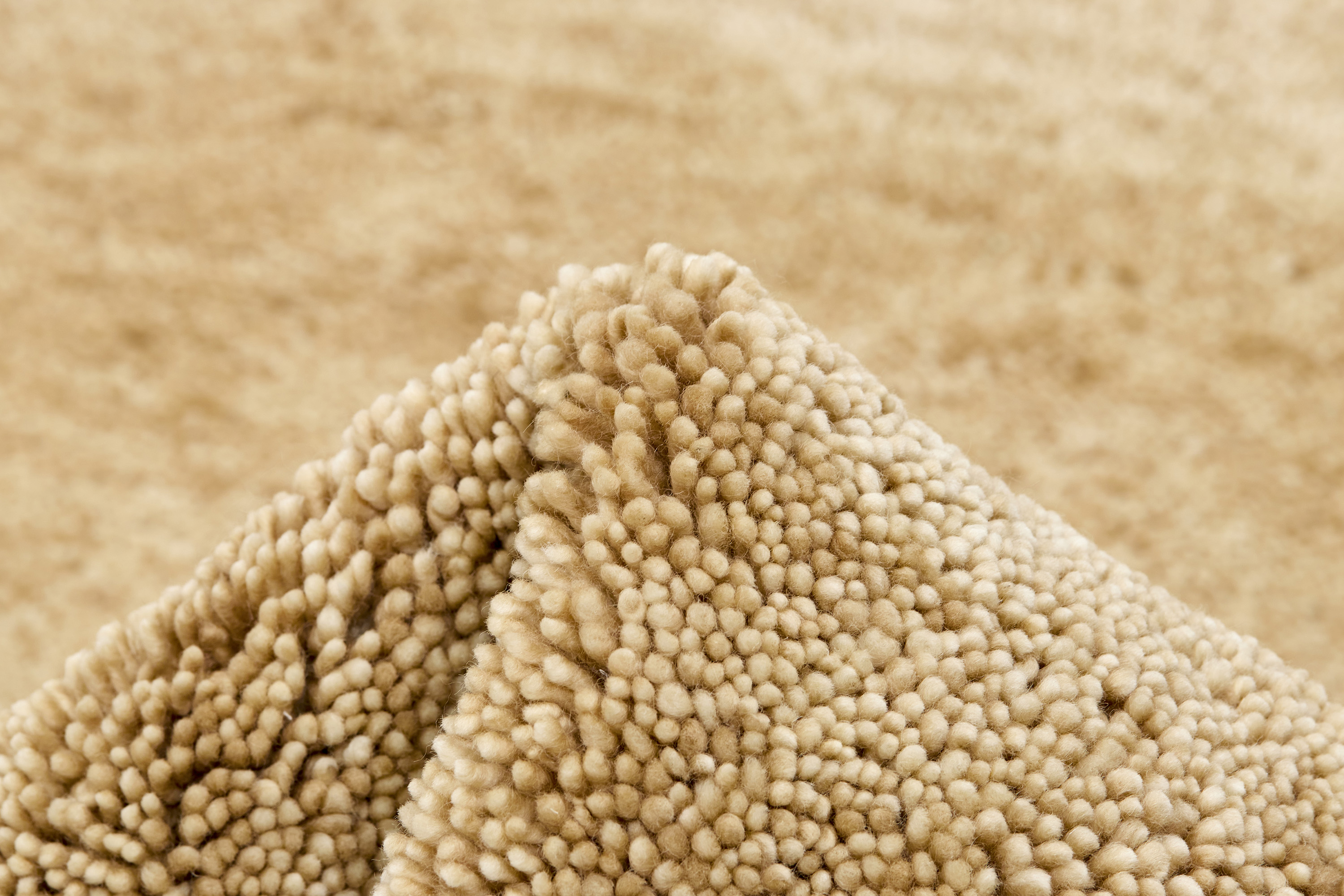 Polar Beige - 4