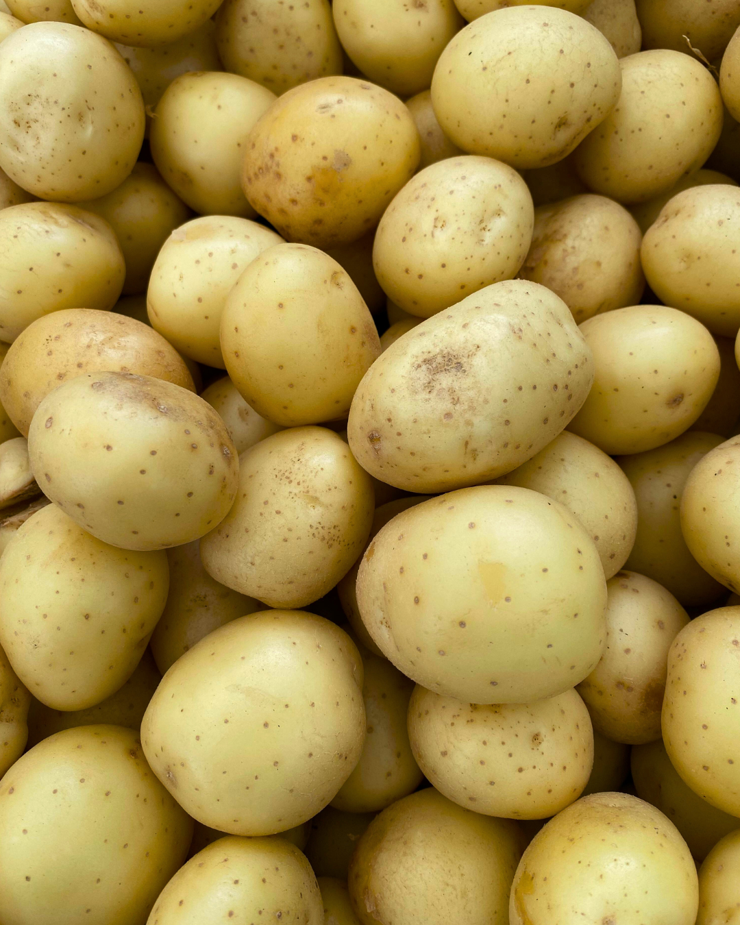 EKO Sättpotatis - Bellinda 1kg