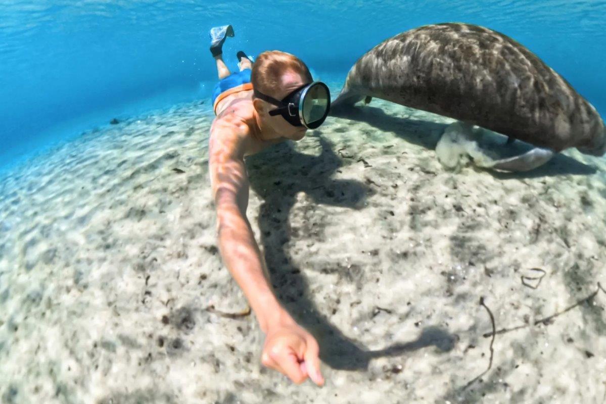 Insta360 X5 Invisible Dive case - 6