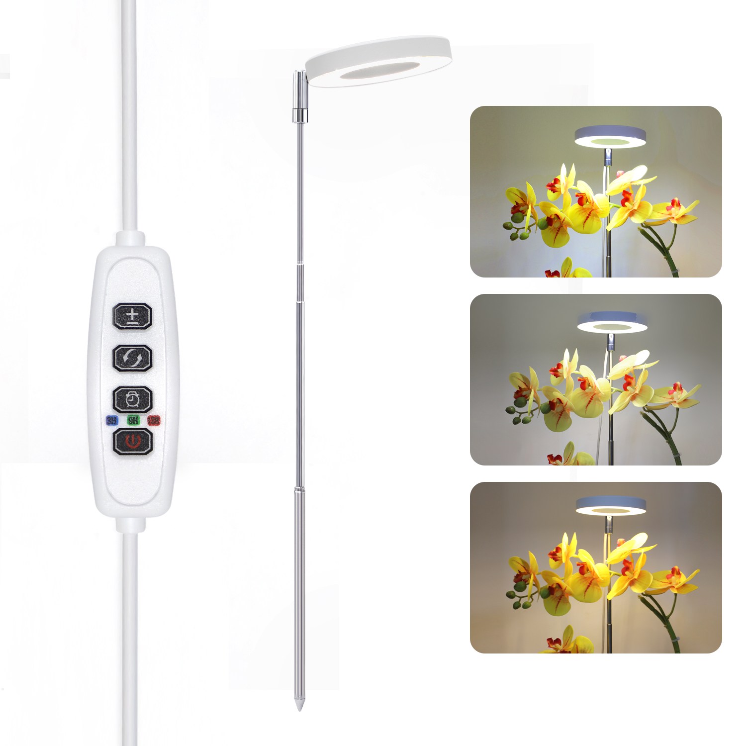 Växtlampa Angel Ring 5W - 2