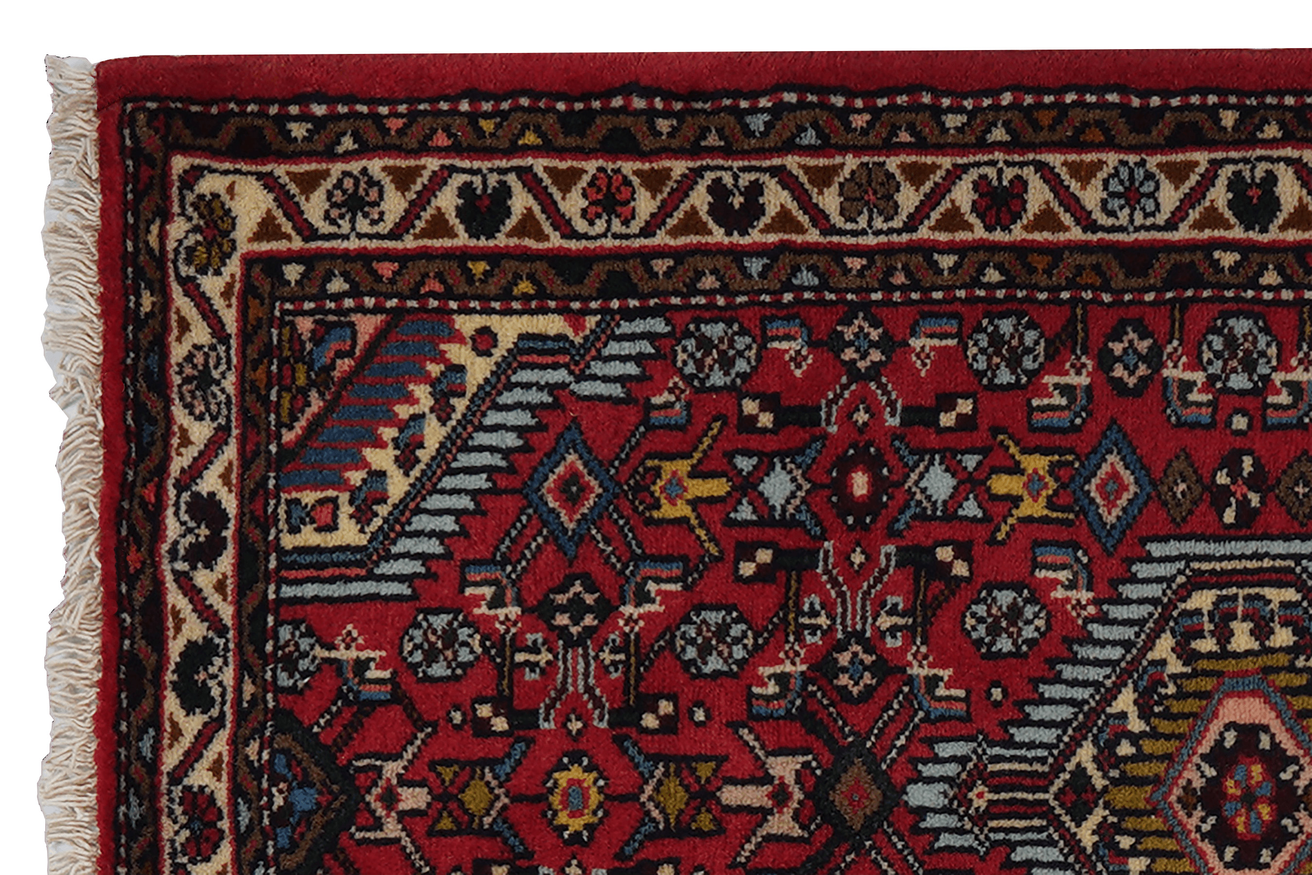Asadabad 65x99cm - 4