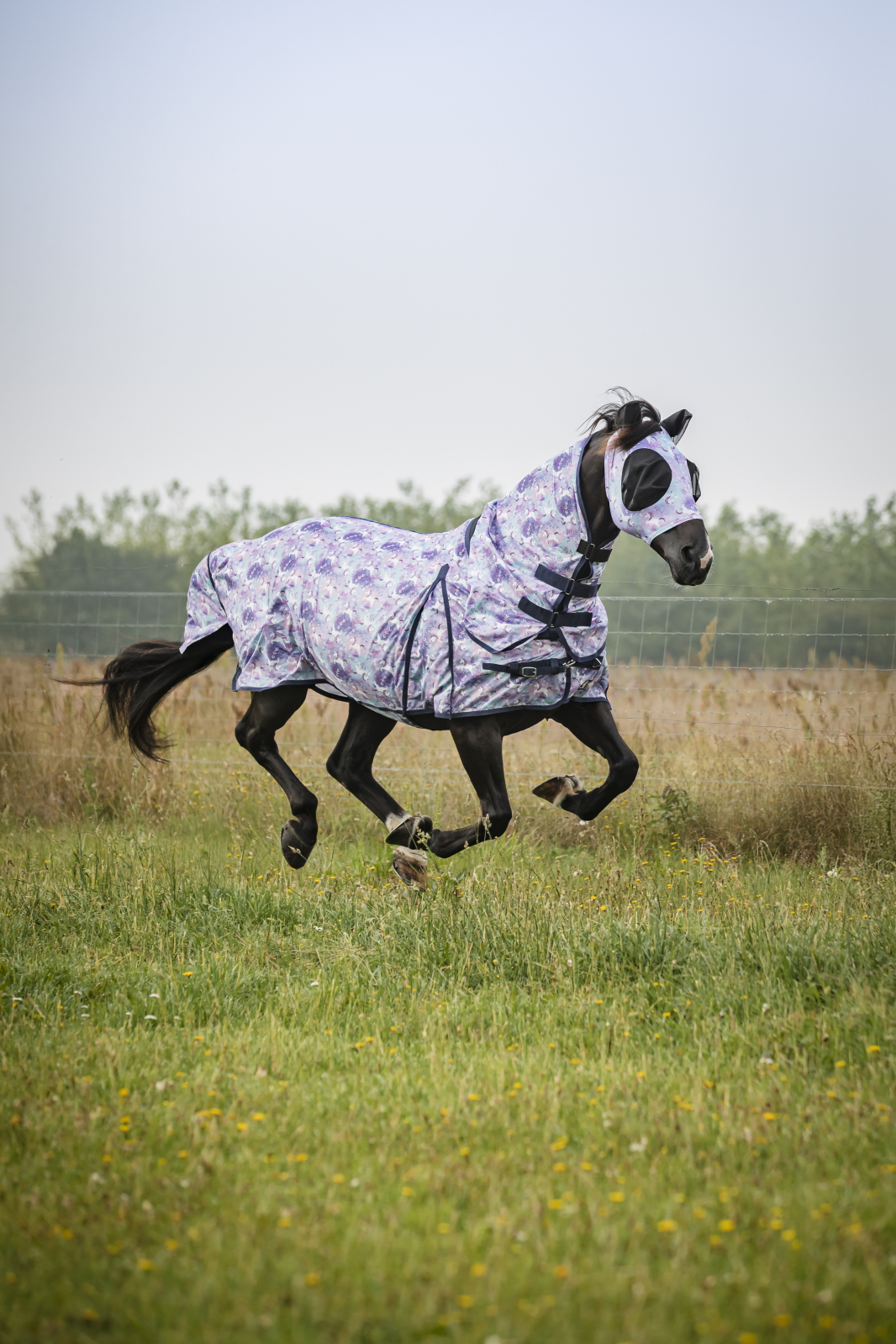 Horse Guard - Unicorn  Insektstäcke