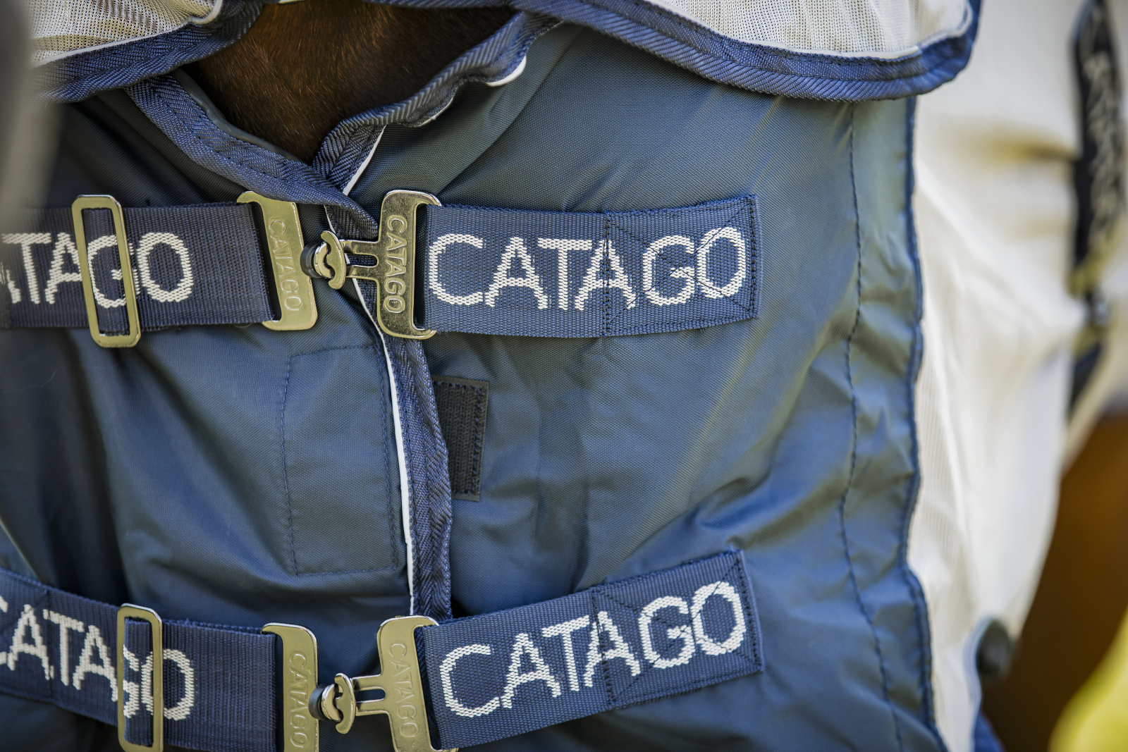 Catago Taylin regn- och insektstäcke