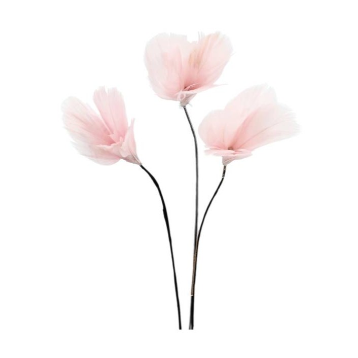 Fjäderblommor  Mini 12-pack - Ljusrosa