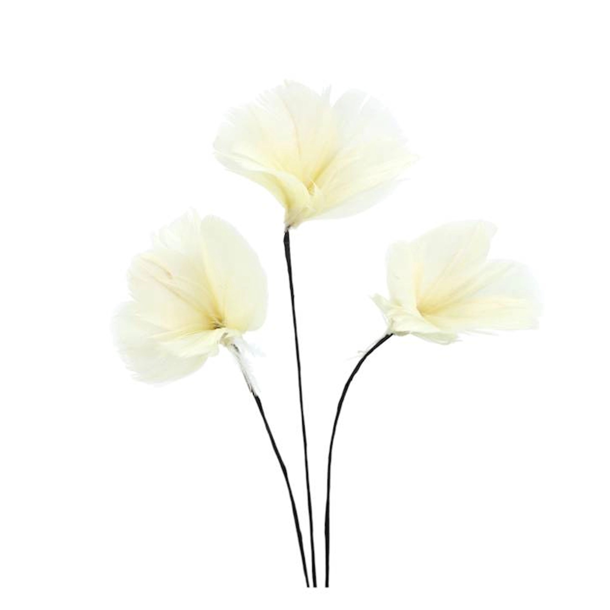 Fjäderblommor  Mini 12-pack - Ljusgul - 2