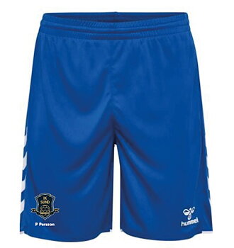 hmlCORE 2.0 SHORTS Herr (IK Sund)