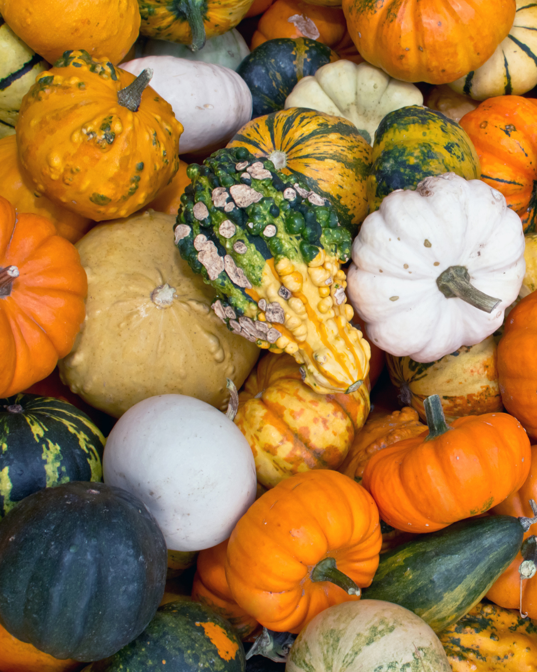 Prydnadspumpa - Show Mix