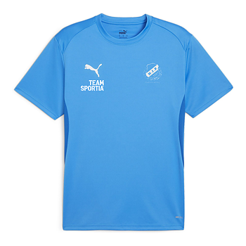Puma Teamgoal Jersey Jr (Hammenhögs IF)