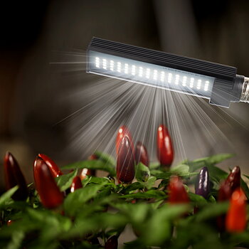 GrowFast E27 13W