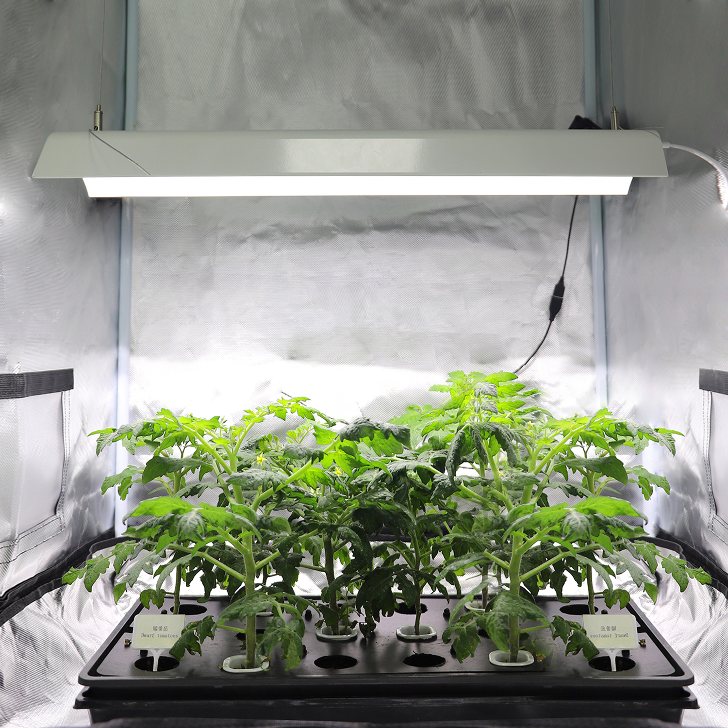 GrowFast  "Siri" LED 20W 60cm  - 7