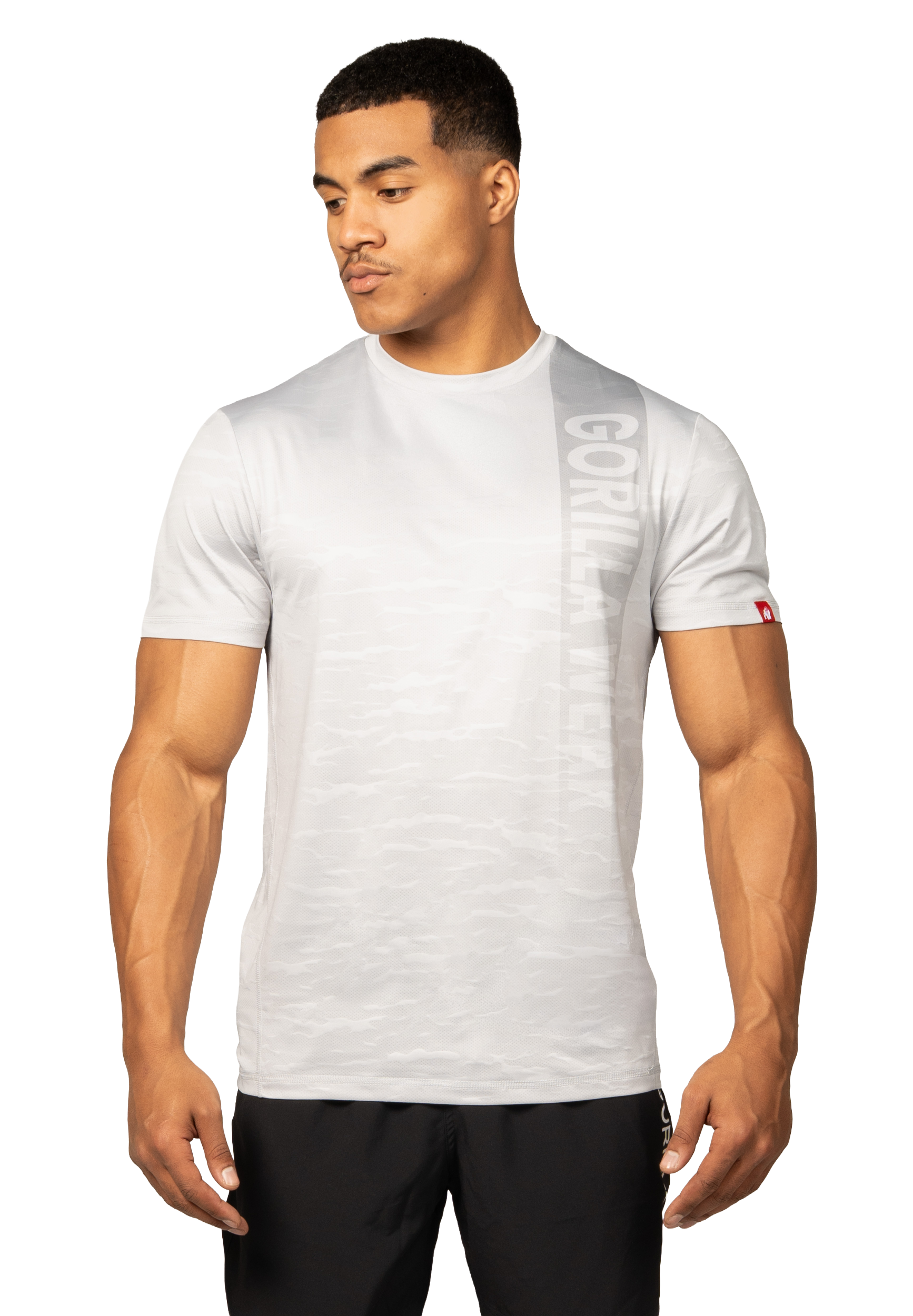 Westley T-Shirt, light grey