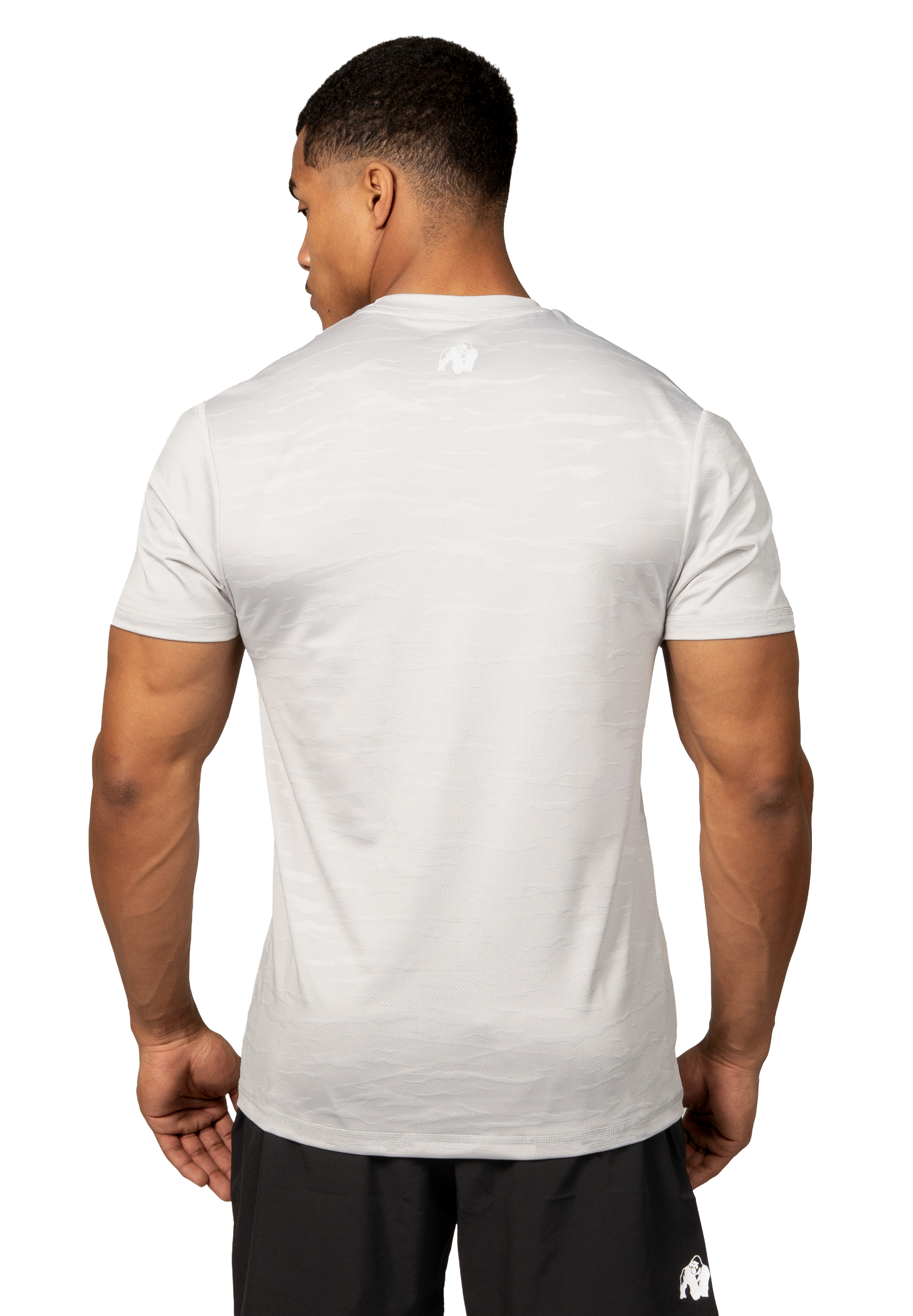 Westley T-Shirt, light grey - 2