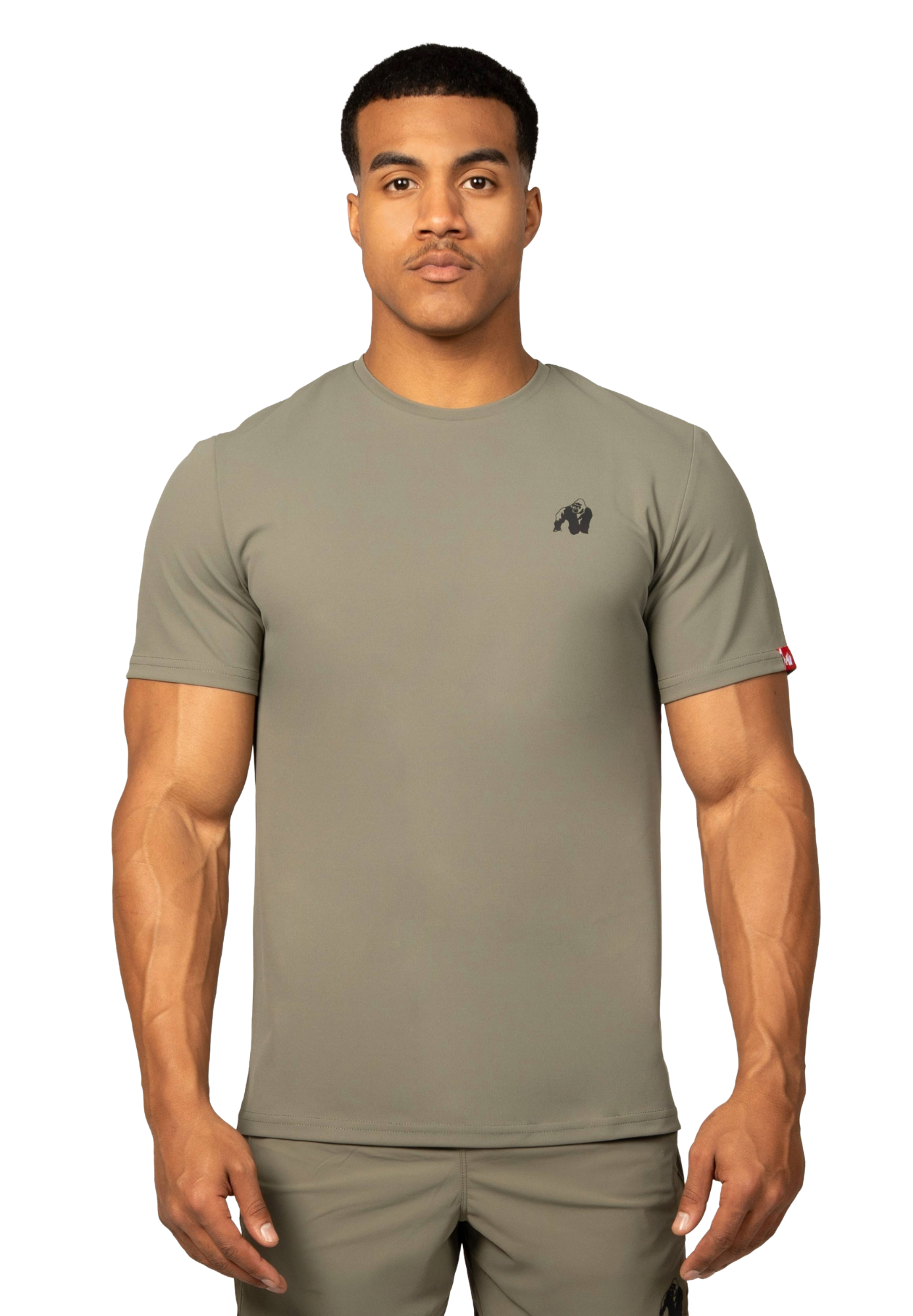 Colton T-Shirt, army green
