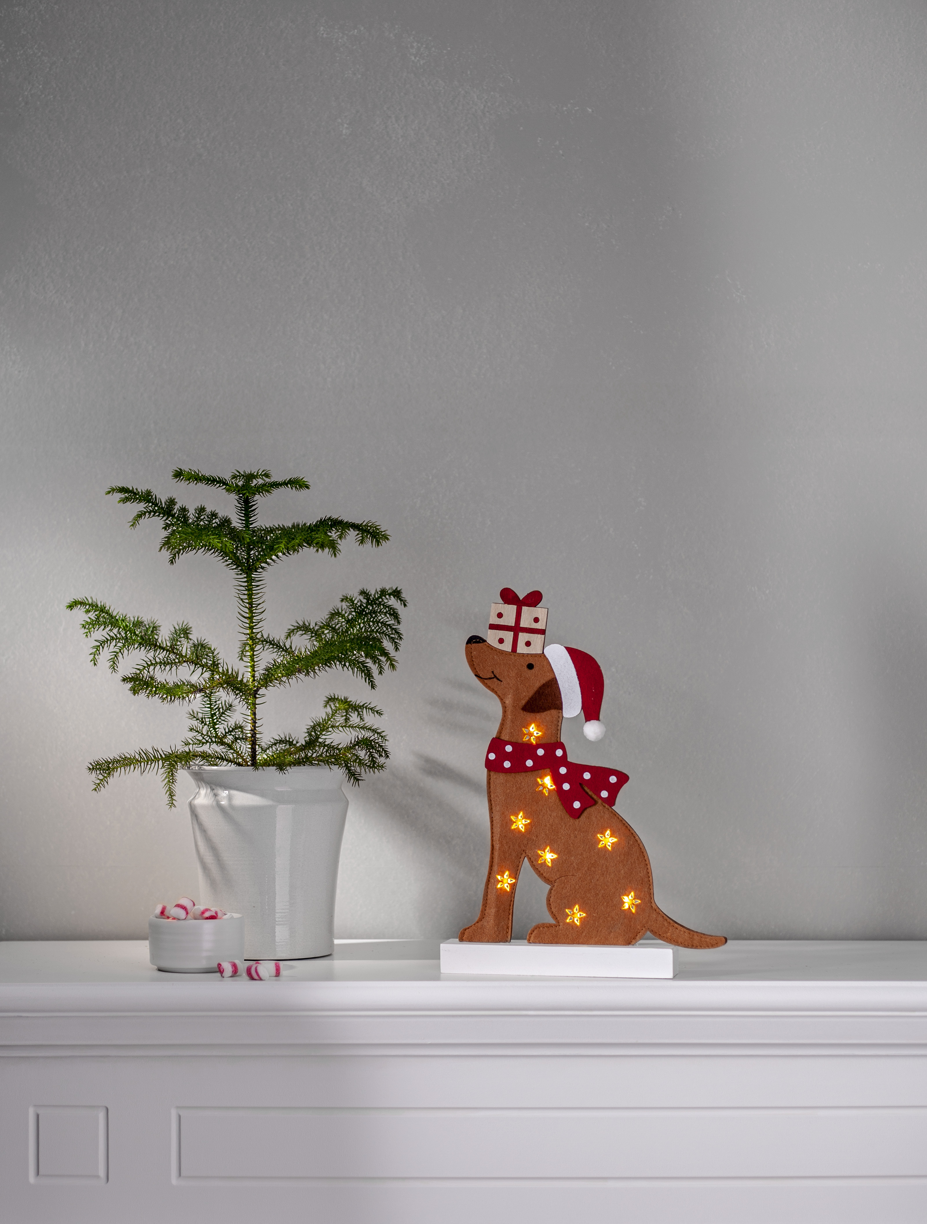 Indoor decoration Dogge - 2