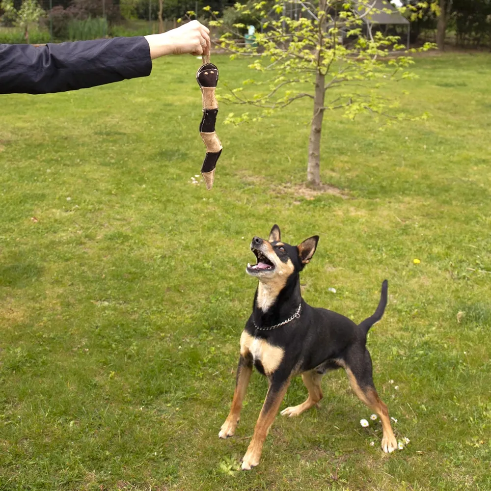 Funny dog toy made of genuine leather FunnyZoo
