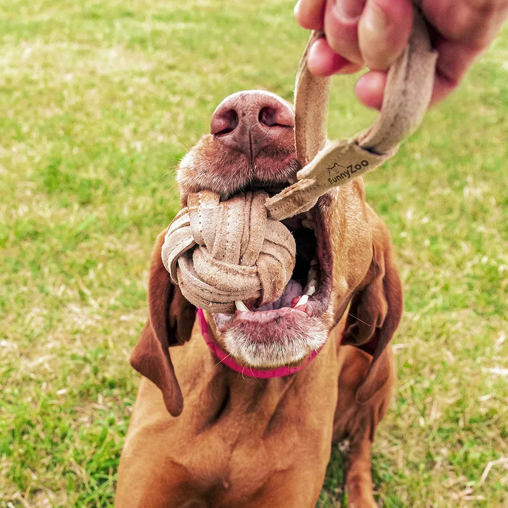 FunnyZoo repboll med handtag hundleksak av läder