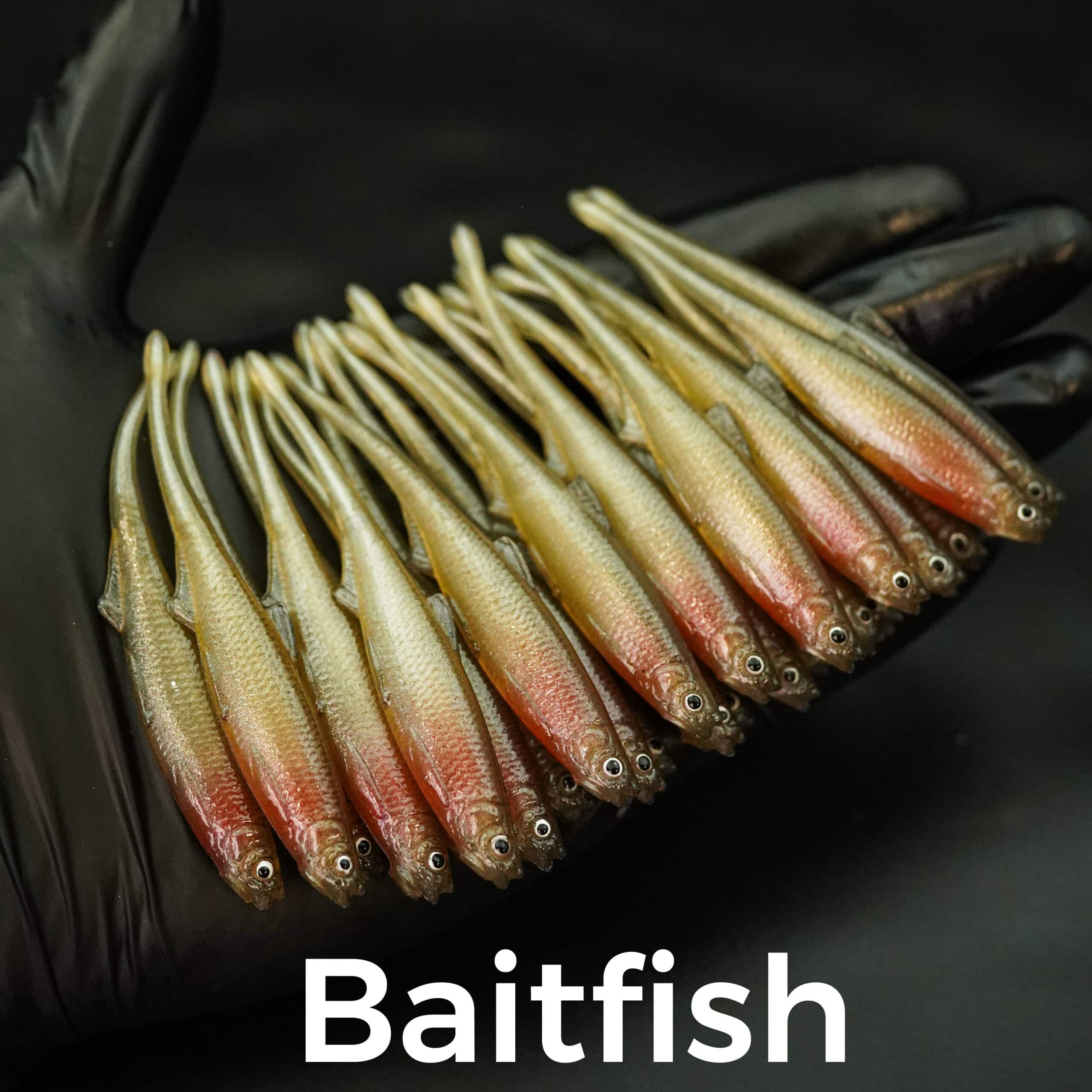 EVÄ Baits Bleak Spike Tail 8 cm - 3