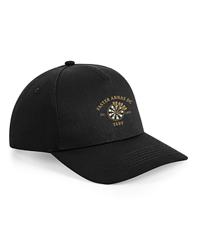 Faster Annas DC snapback keps
