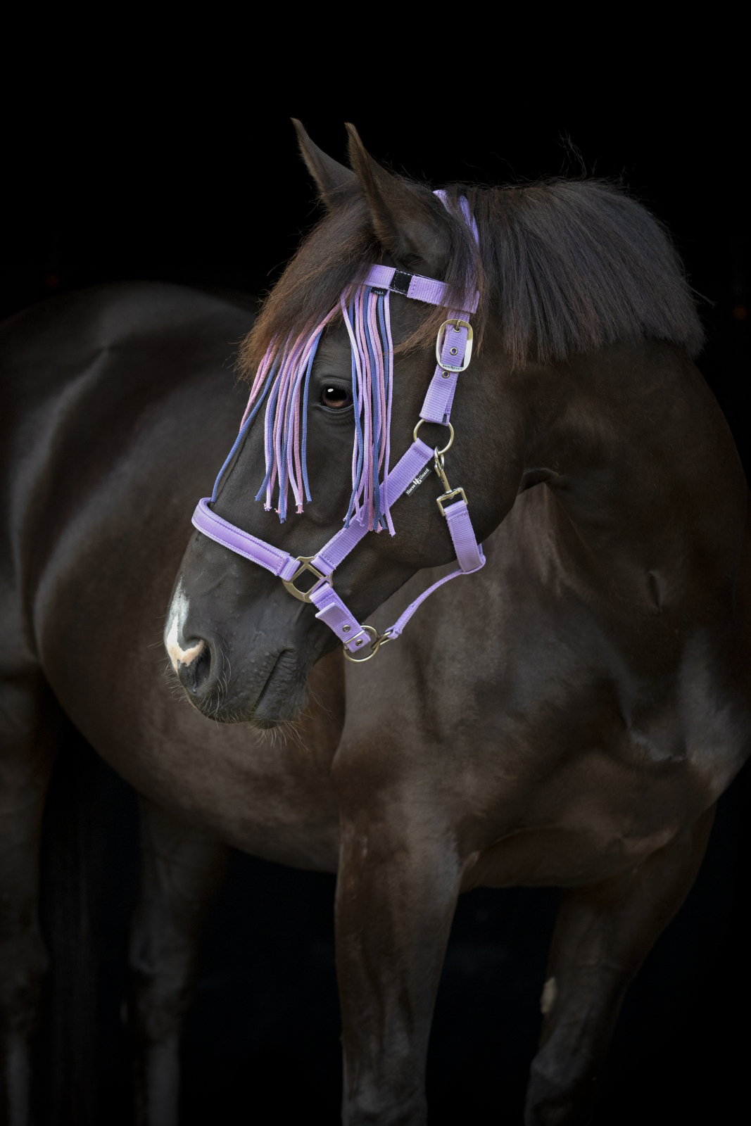 Grimma Malva - "Pretty Girl" - Lavendel - 5