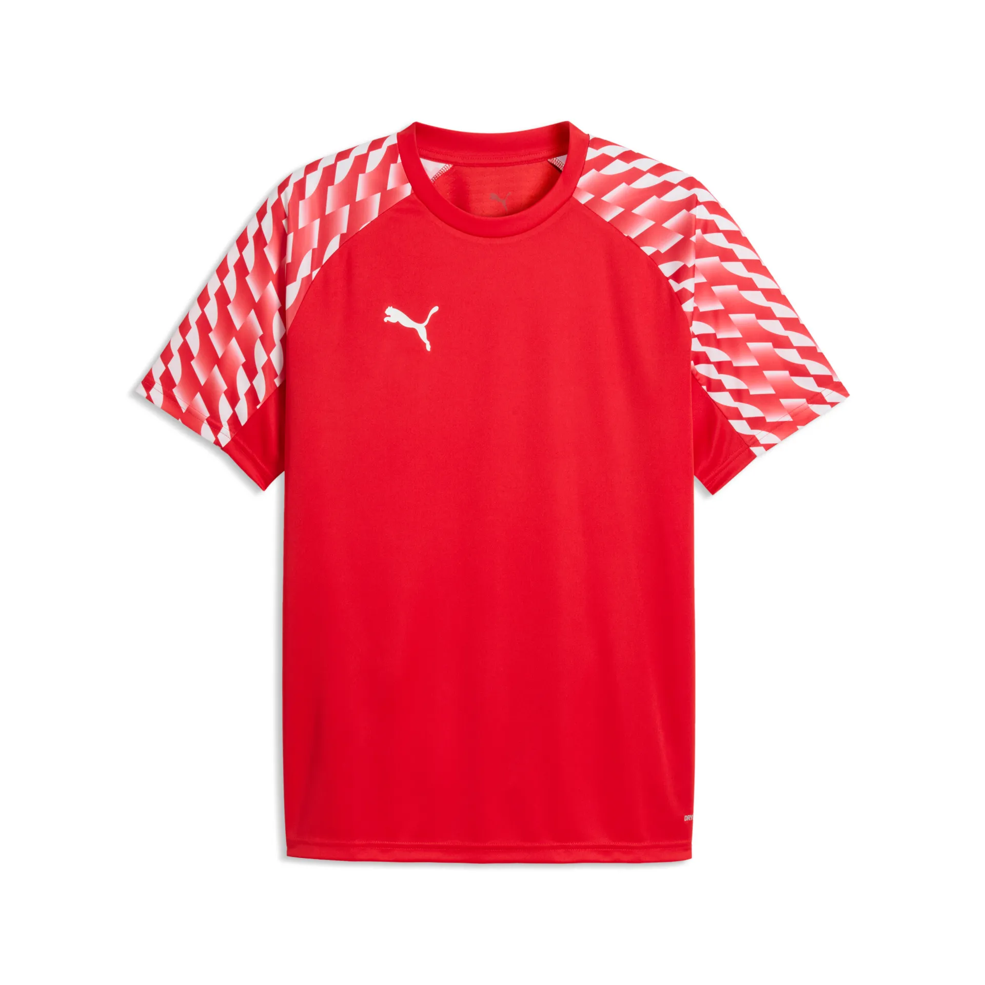 Puma Teamliga 26 Jersey (Betsele IF)