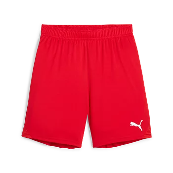 Puma Teamgoal Shorts Jr (Betsele IF)
