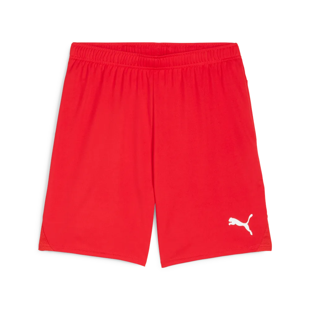 Puma Teamgoal Shorts (Betsele IF)