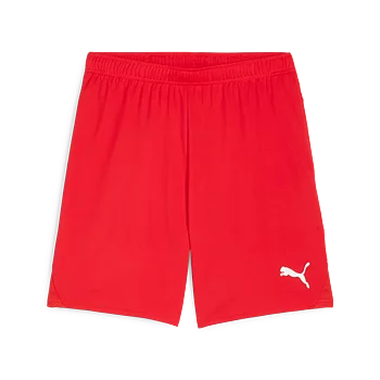 Puma Teamgoal Shorts (Betsele IF)