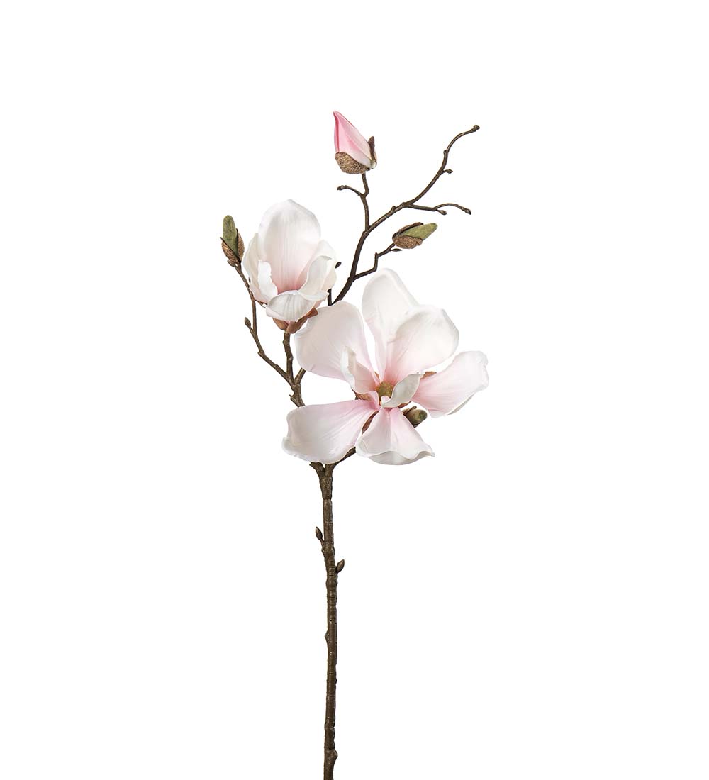 Magnolia / 45cm / Vit 