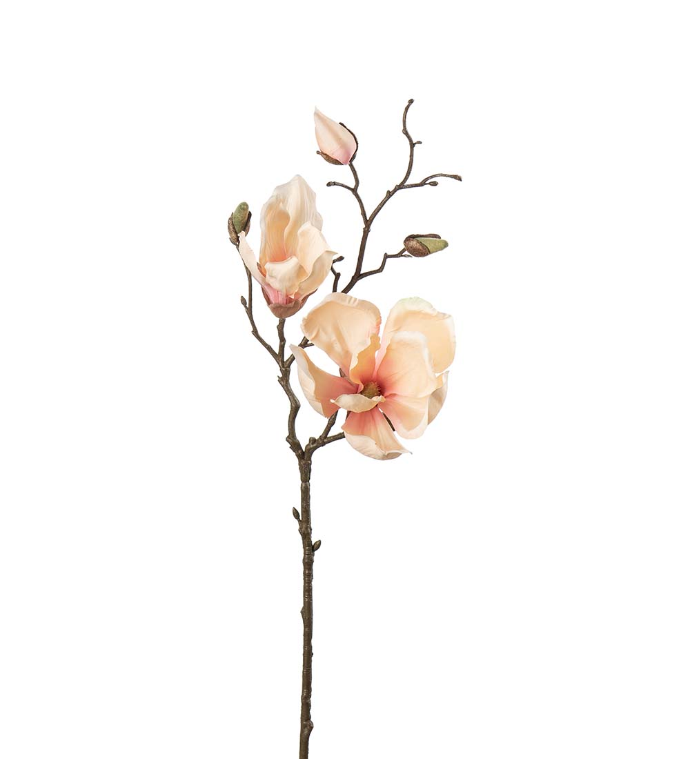 Magnolia/ 45cm / Arikos