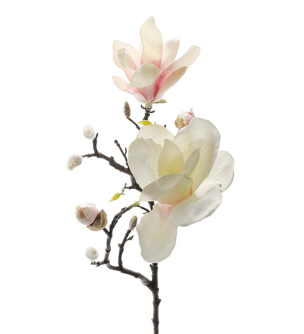 Magnolia / 60cm / Vit-Rosa 