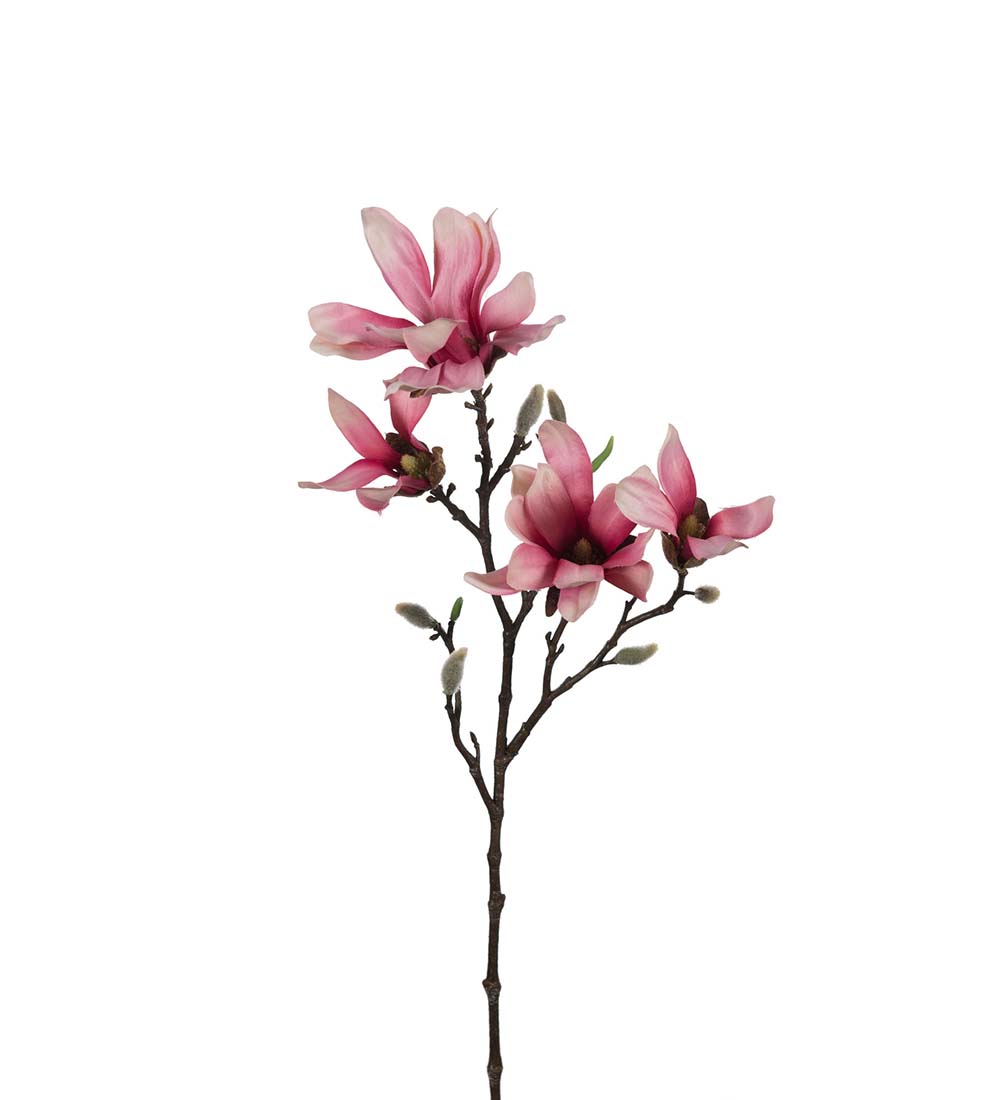 Magnolia / 50cm / Rosa 