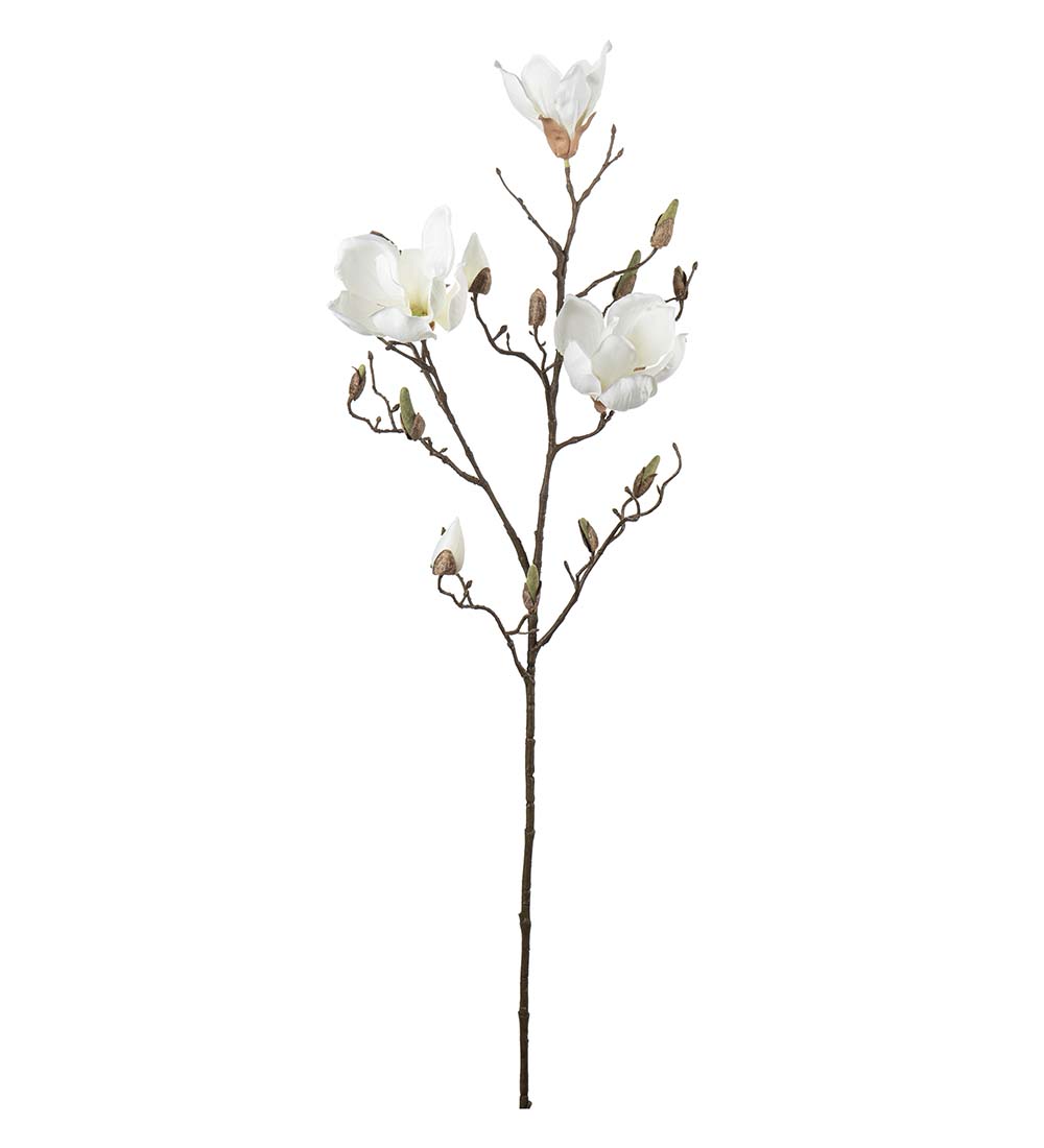 Magnolia / 88cm / Vit
