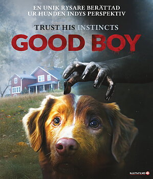 Good Boy (Blu-ray)